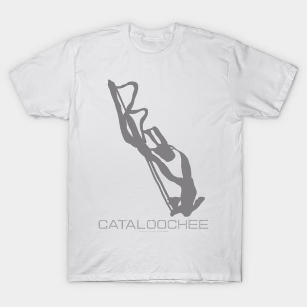 Cataloochee Resort 3D T-Shirt by Mapsynergy